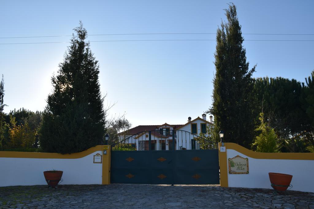 Вілла Quinta Do Outeiro Alto Констансія Екстер'єр фото